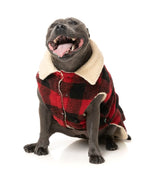 FuzzYard Lumberjack 25 Jacket - Red