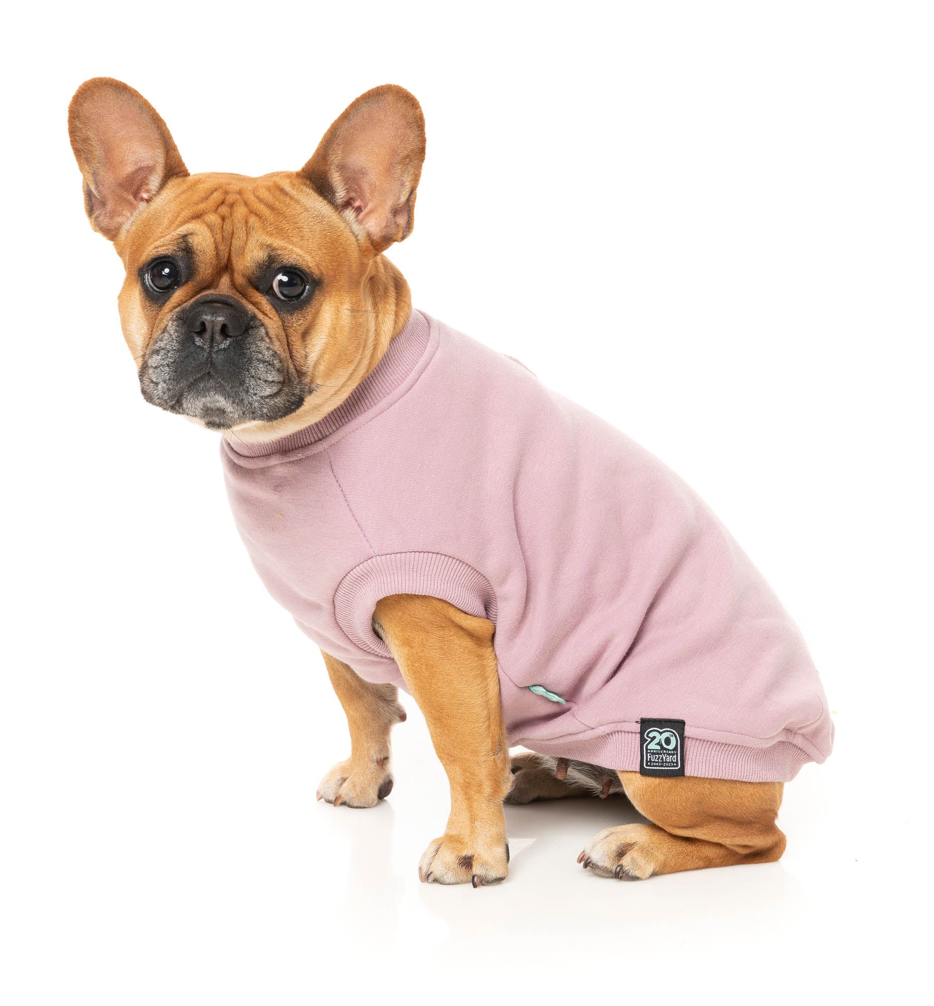 Allday Sweater - Purple