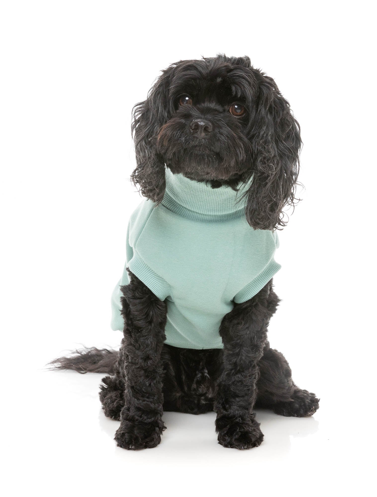Stevie 24 Sweater - Mint