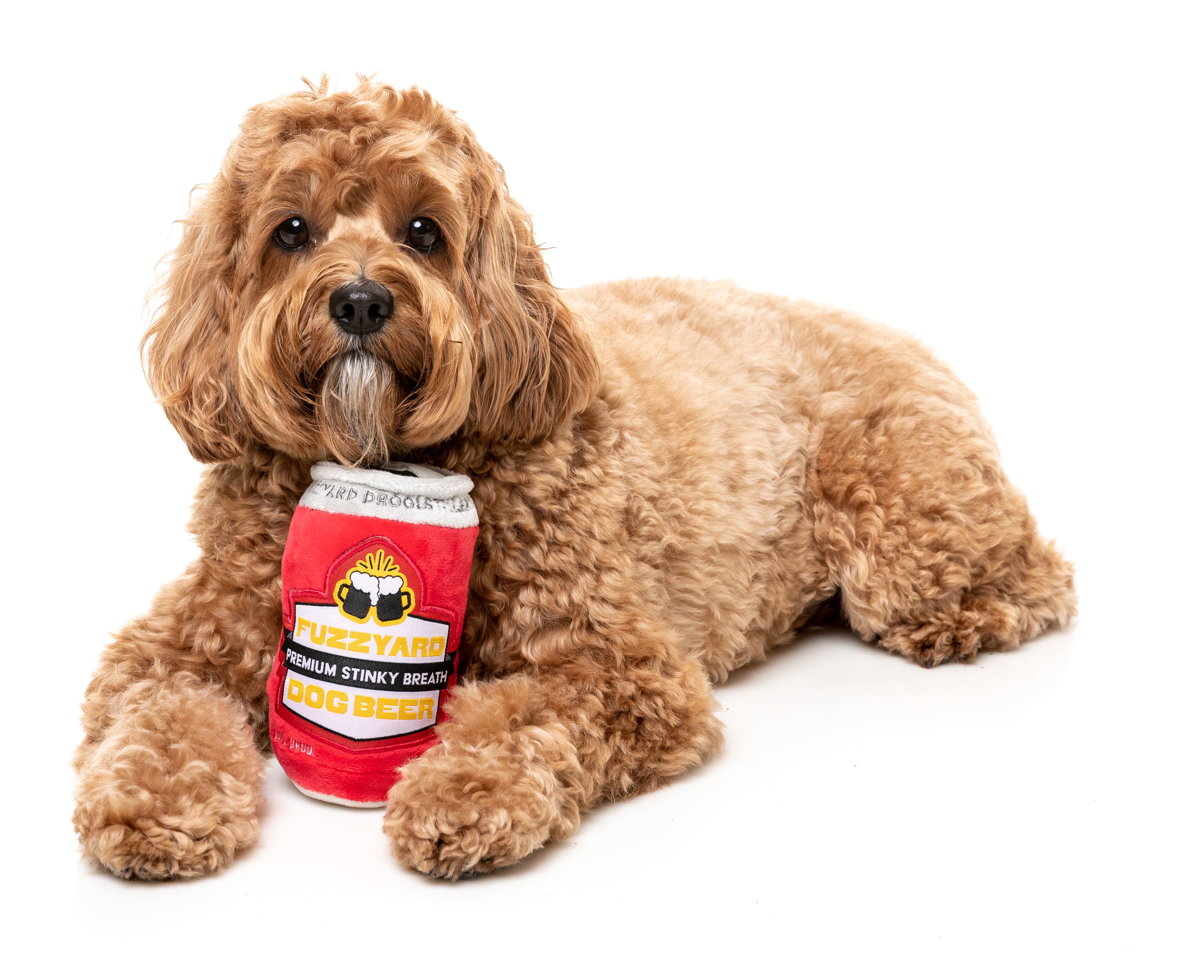 Dog Beer - Dog Toy