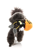 Boo-Ternut Halloween - - Dog Toy