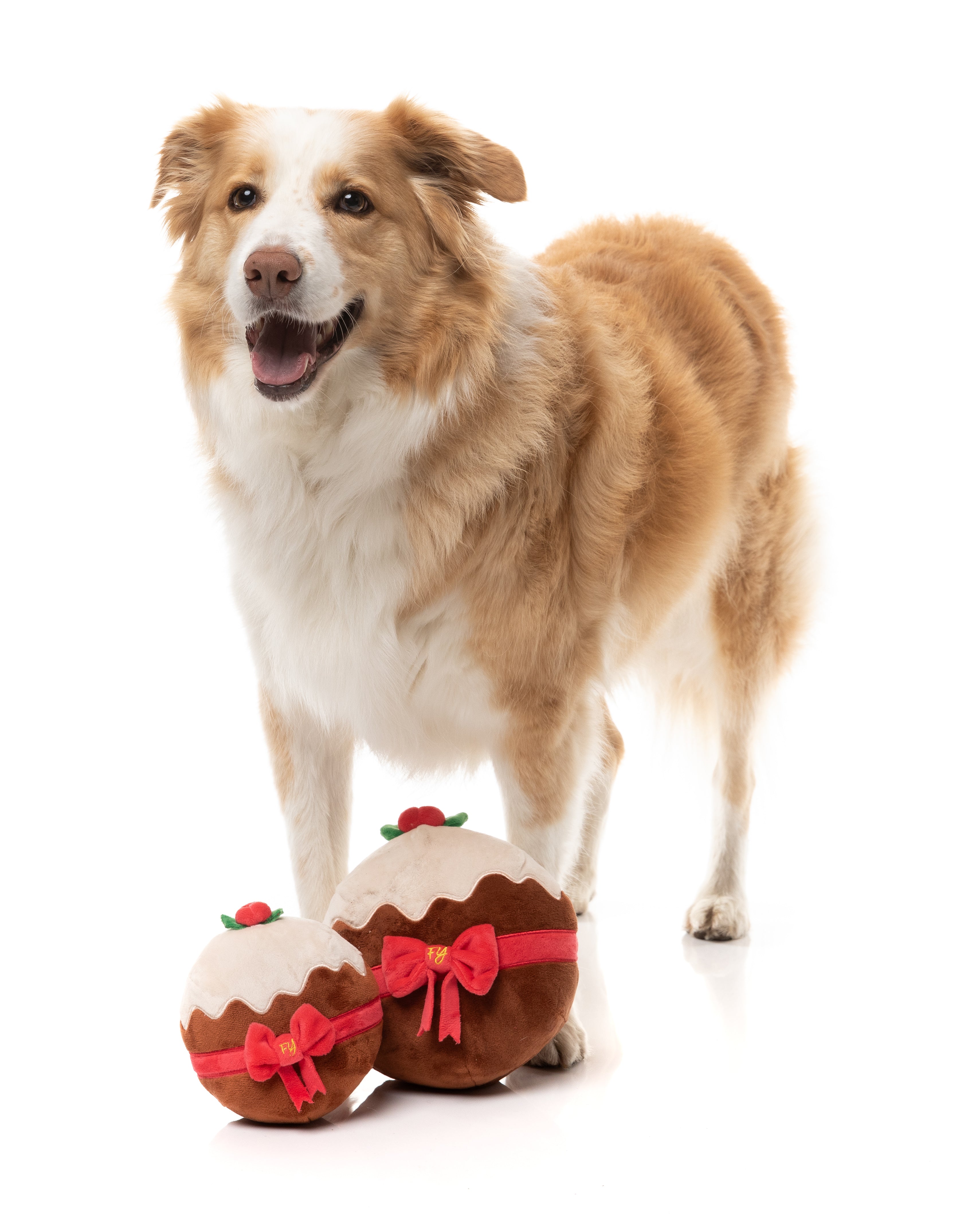 Merry Puddin' - Christmas - Dog Toy