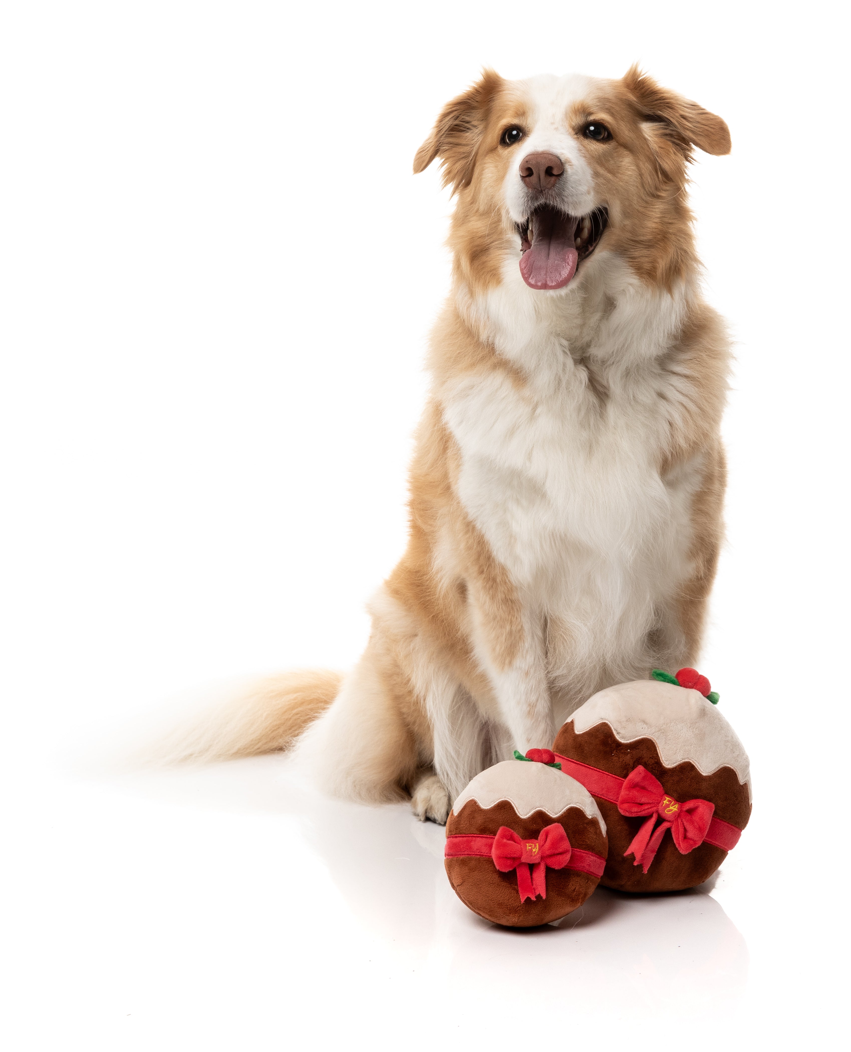 Merry Puddin' - Christmas - Dog Toy