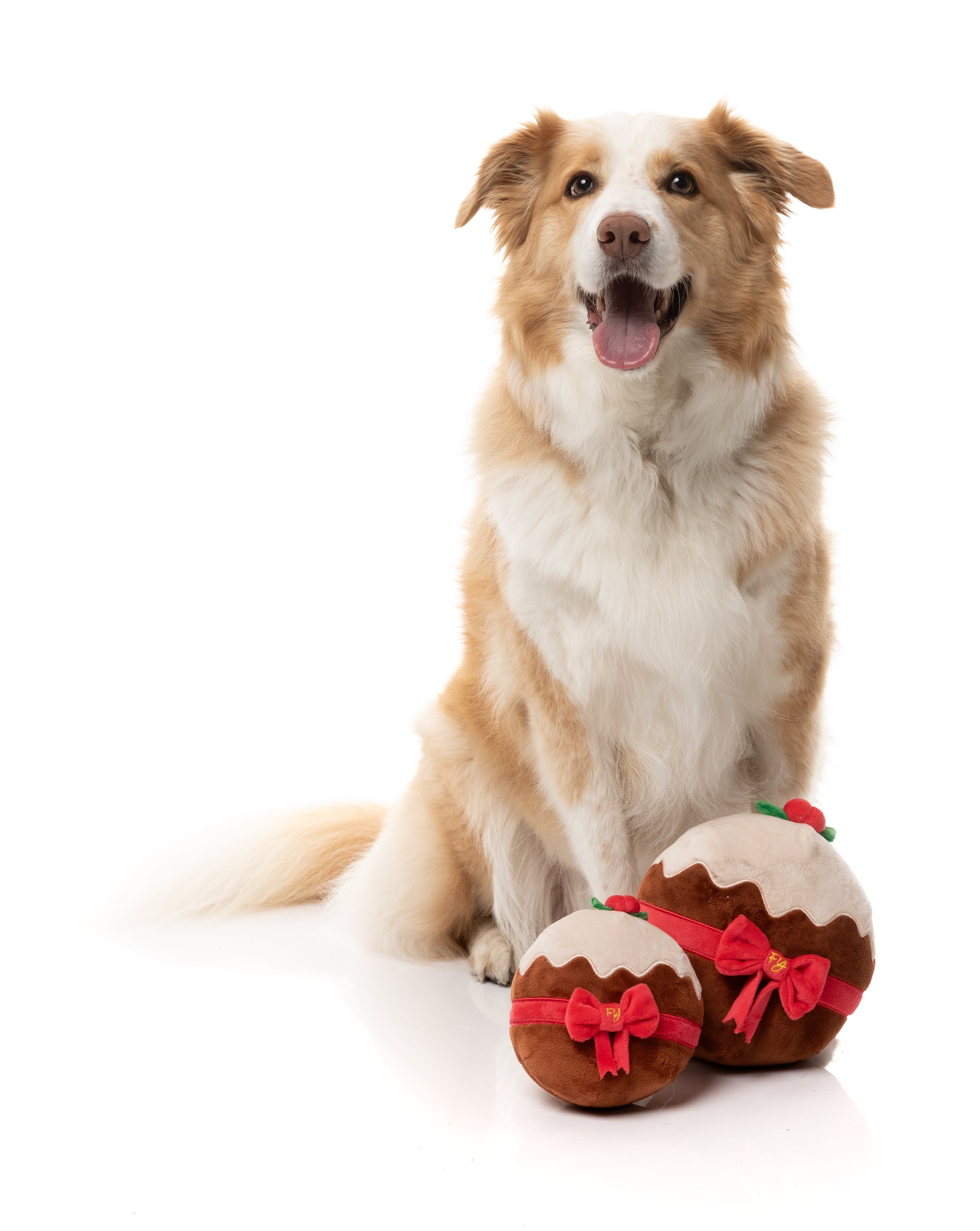 Merry Puddin' - Christmas - Dog Toy
