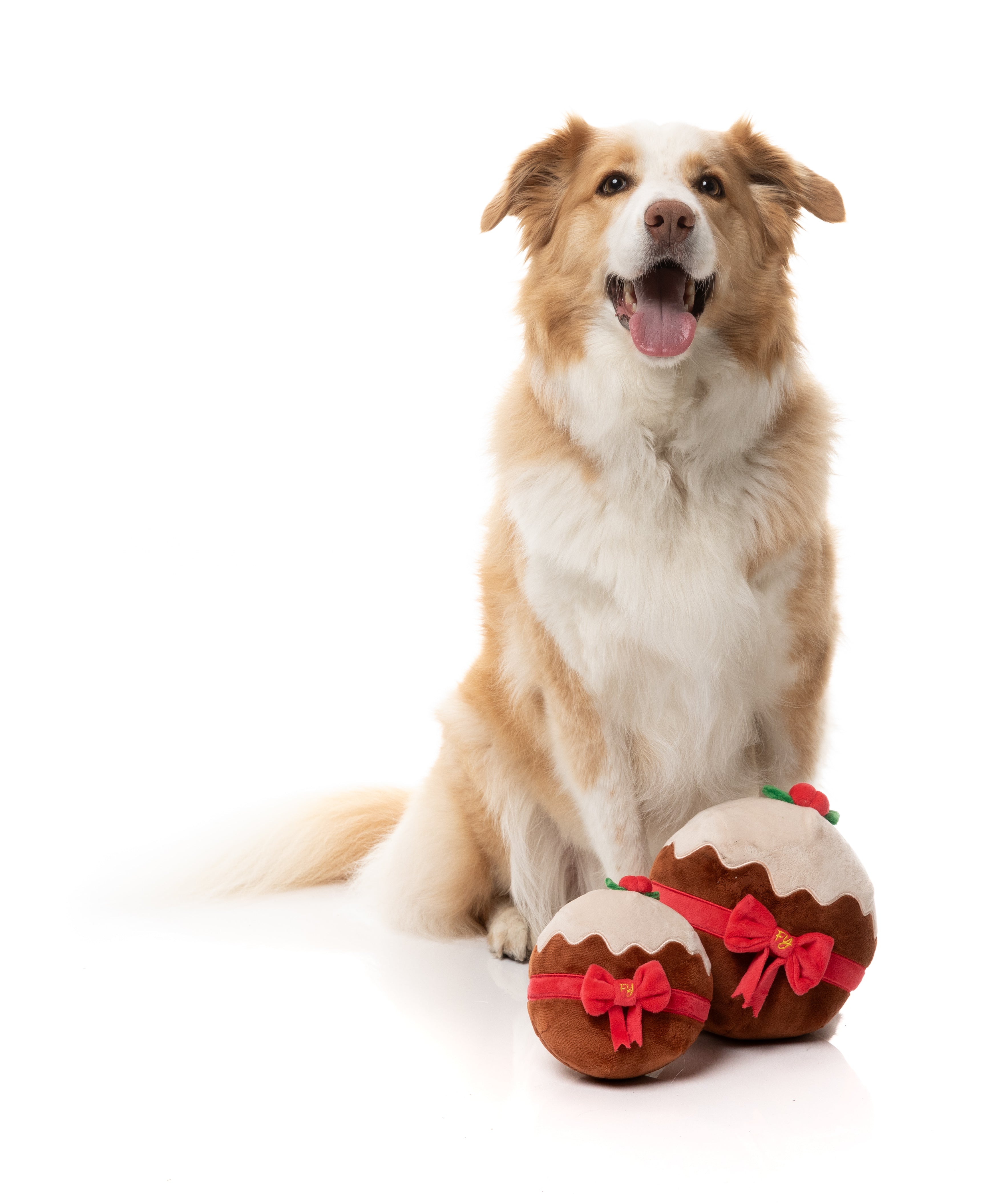 Merry Puddin' - Christmas - Dog Toy