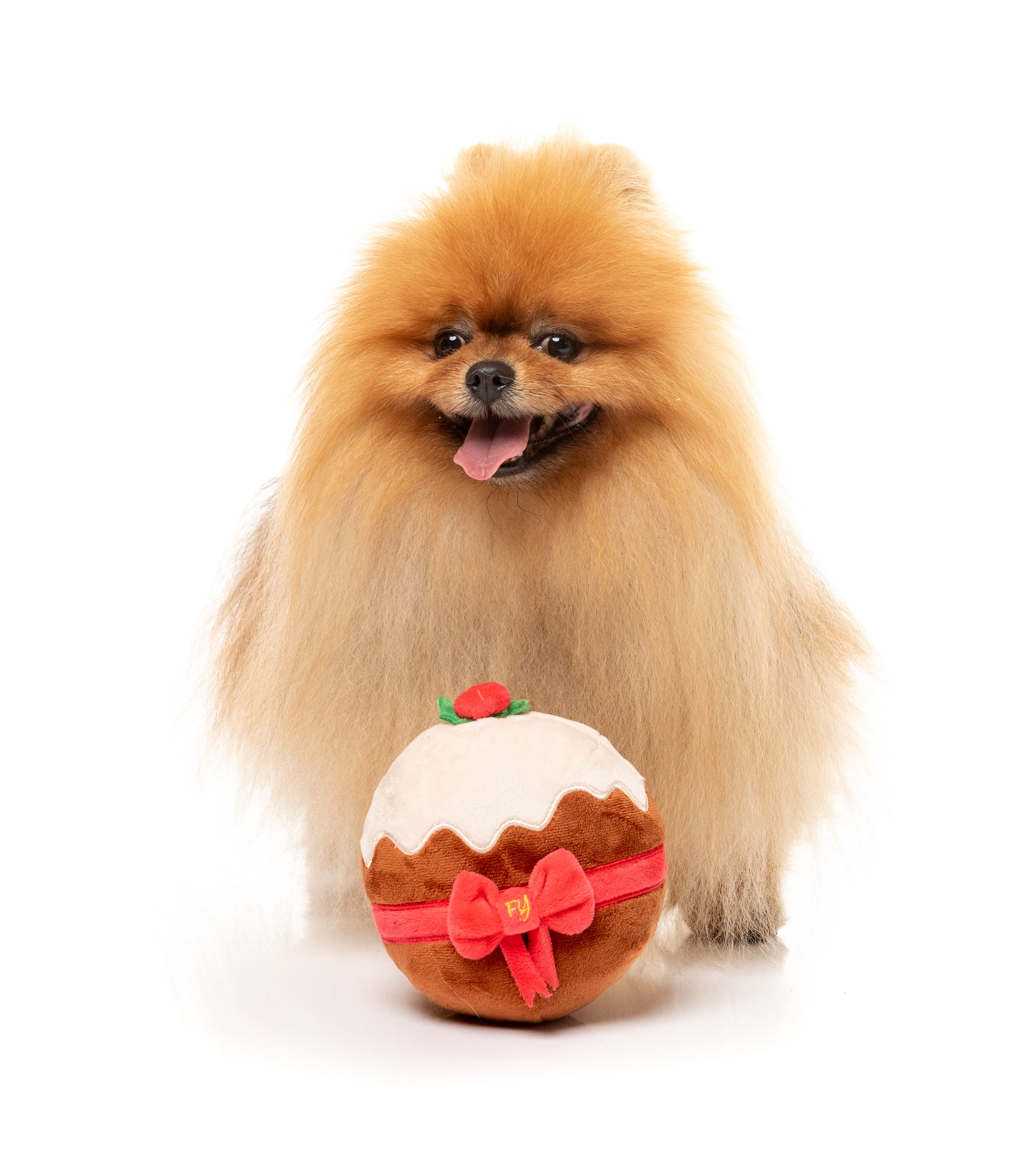 Merry Puddin' - Christmas - Dog Toy