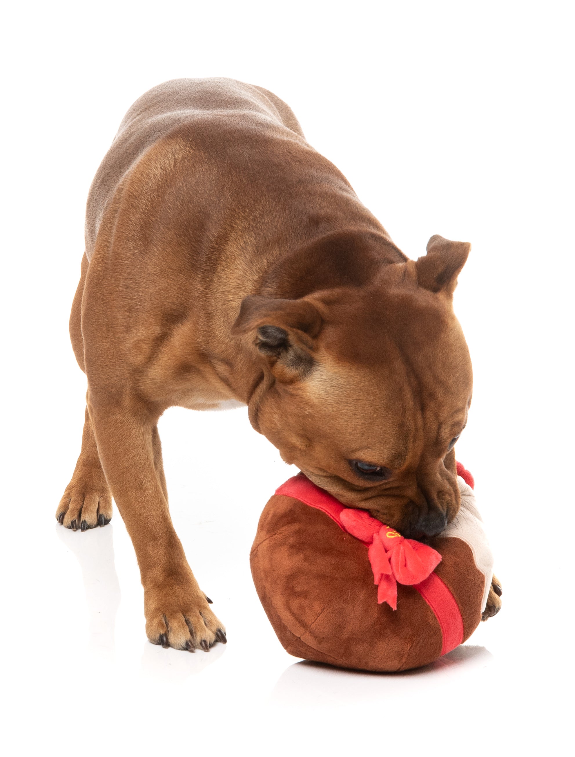 Merry Puddin' - Christmas - Dog Toy