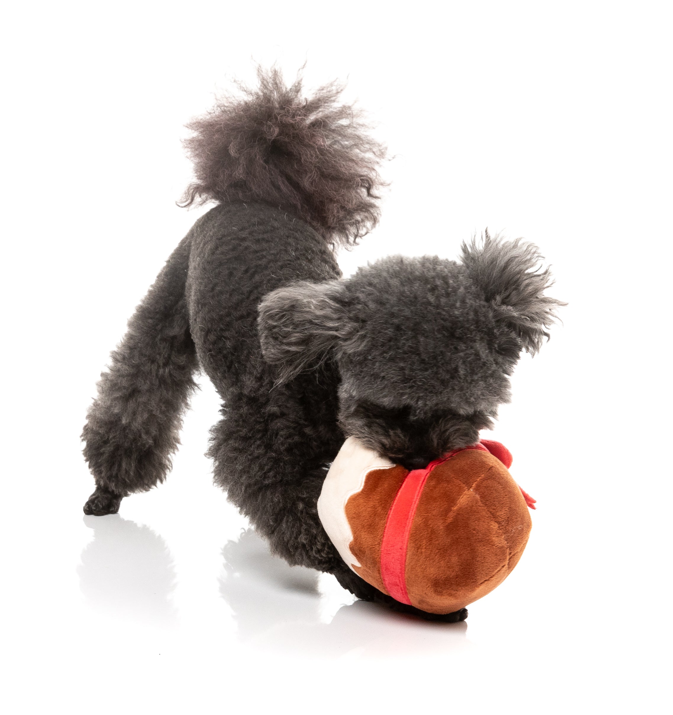 Merry Puddin' - Christmas - Dog Toy