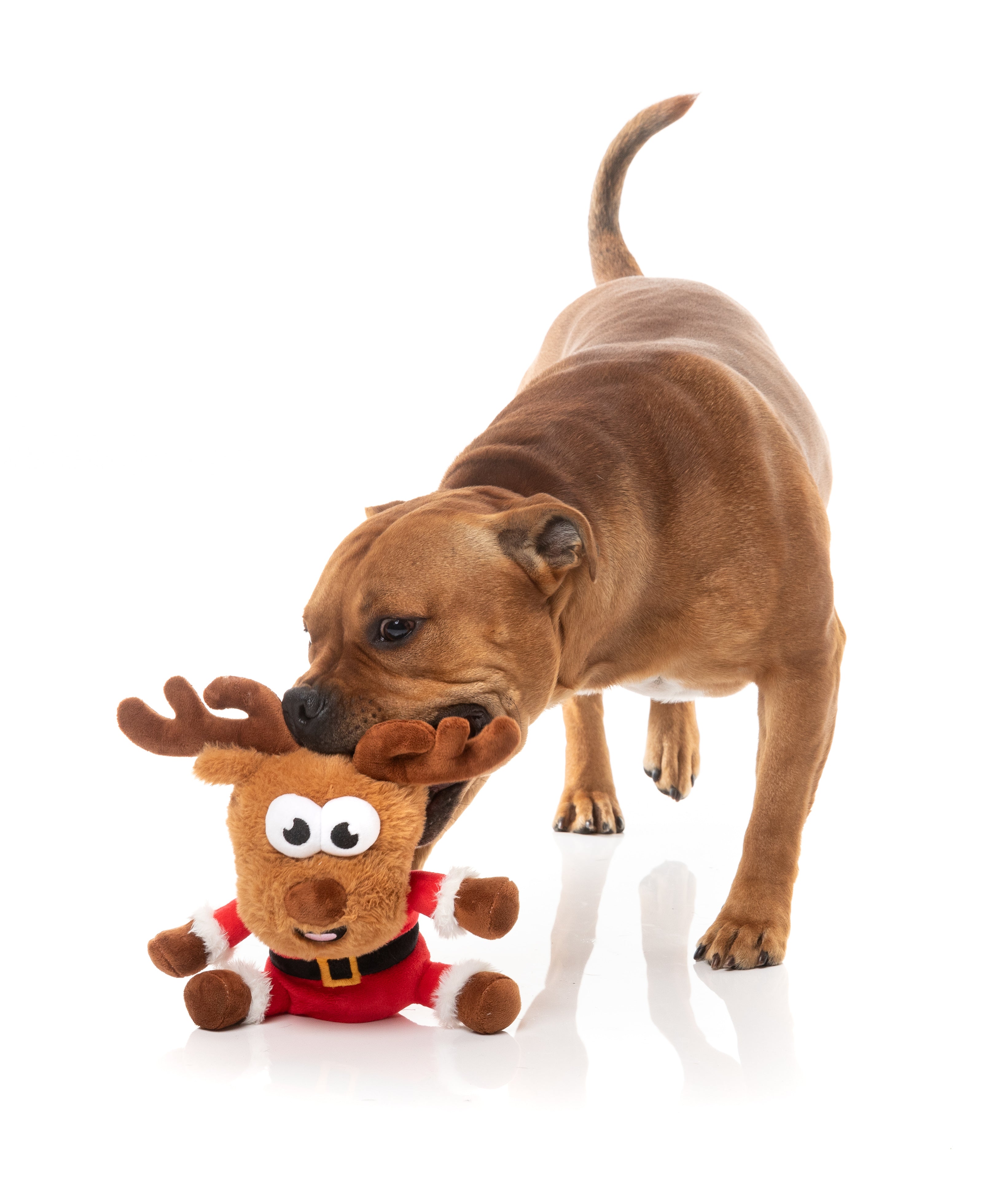 Reggie Claus Reindeer - Christmas - Dog Toy