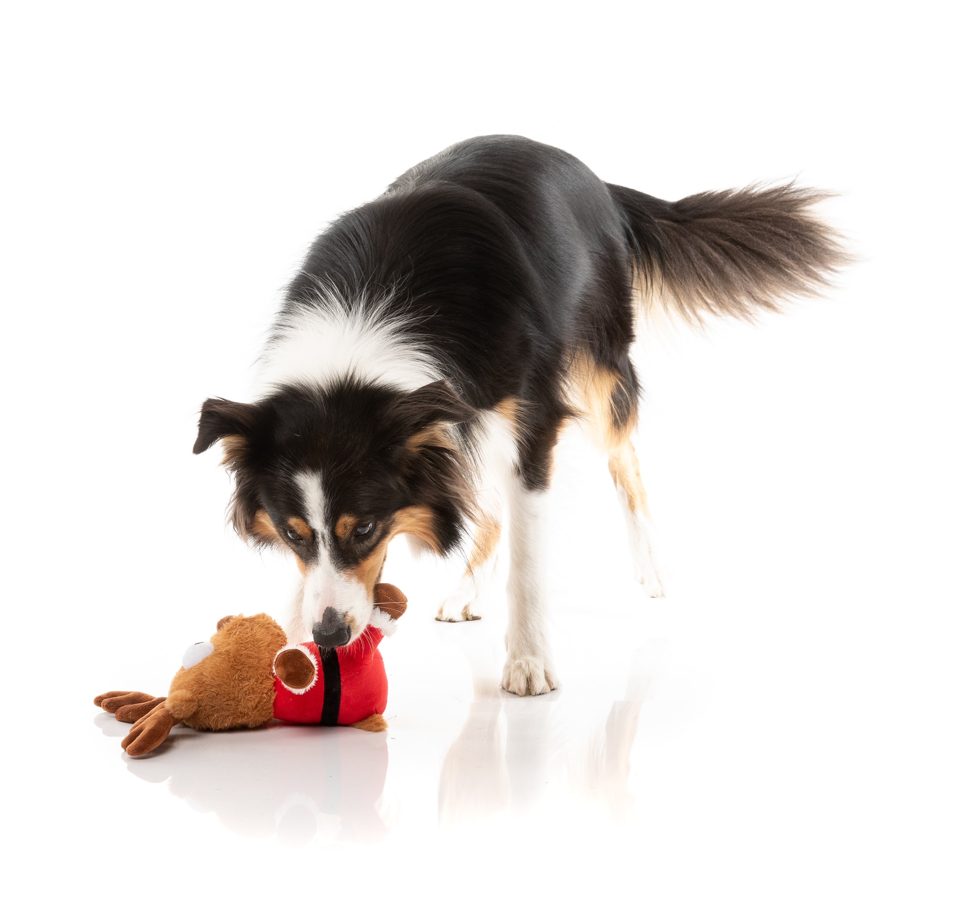 Reggie Claus Reindeer - Christmas - Dog Toy