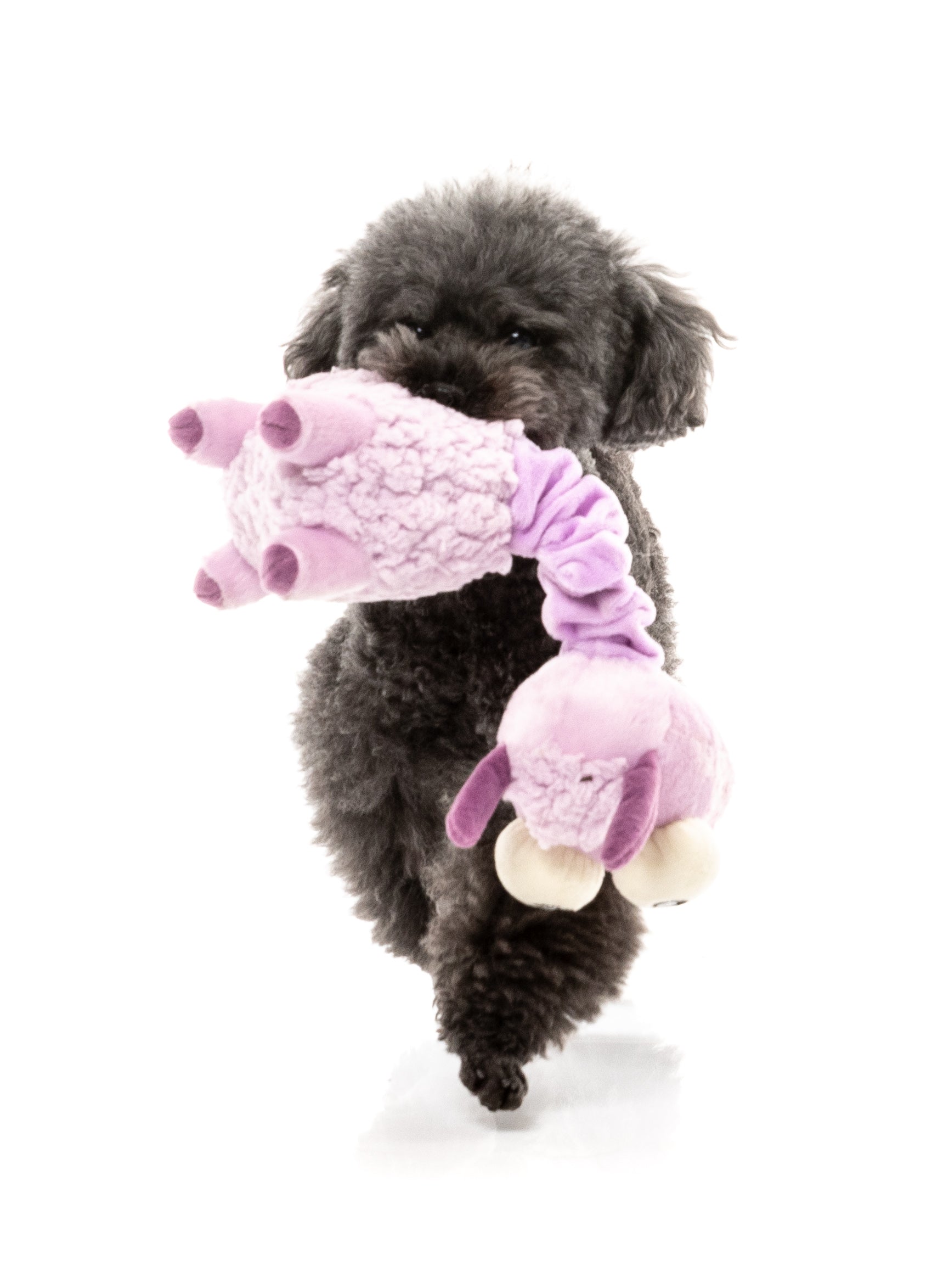 Neckita The Lama - Fuzzyard Toys