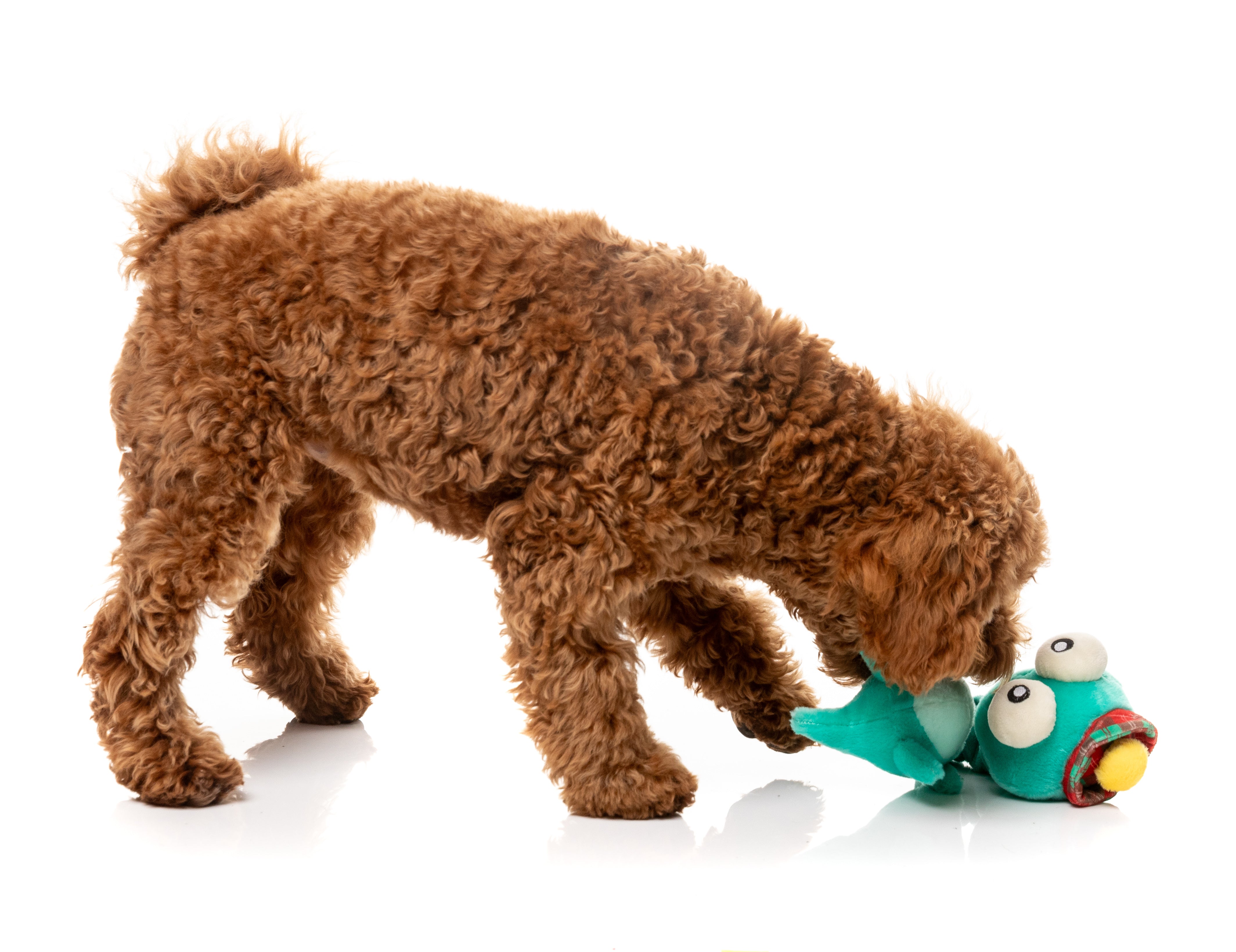 Loch Neck Monster  - Fuzzyard Toys