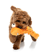 Shelvis Presley - Dog Toys