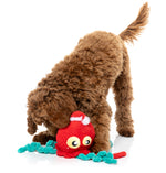 Jolly Fish - Dog Toys