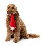 So Long Santa - Dog Toys