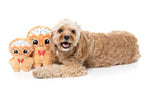 Jingle bread - Dog Toys