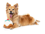 Hey Puddin' - Dog Toys