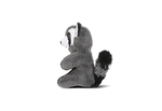 Forest Friends - Robby the Raccoon