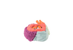 Ocean Buddies -  Coral Burrow -  Reef Retreat