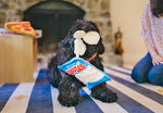 Snack Attack (Mini) Fluffles Chips XS