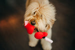 Puppy Love Fur-ever Hearts