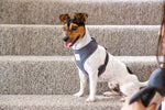 FuzzYard Life Harness - Myrtle Green