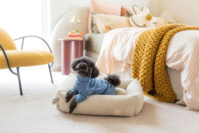 FuzzYard Life Soft Touch Pyjamas - French Blue