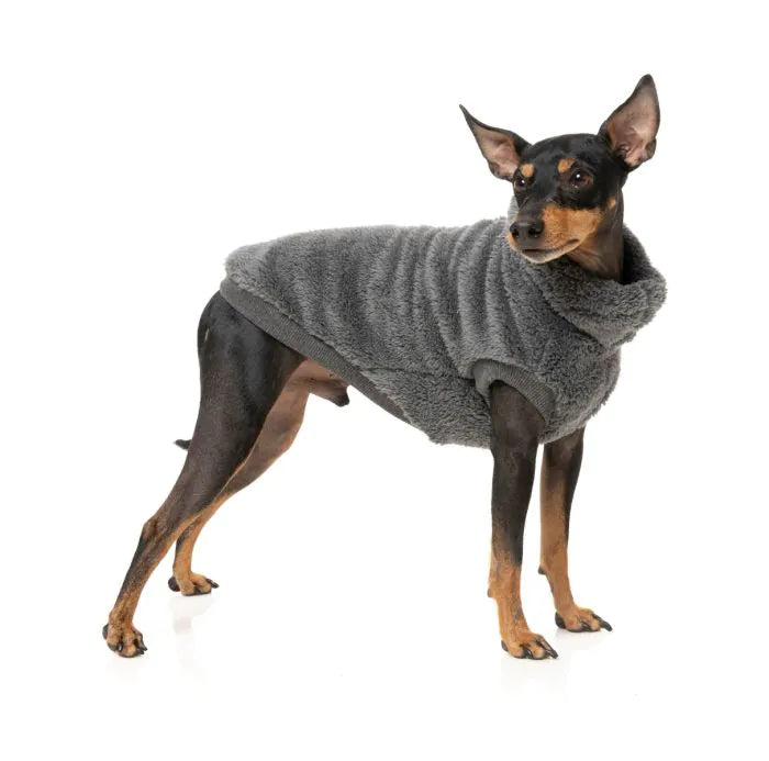 Turtle Teddy Sweater - Charcoal