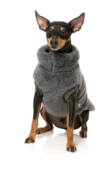 Turtle Teddy Sweater - Charcoal