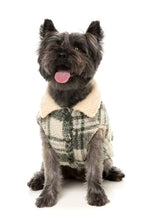 FuzzYard Lumberjack 25 Jacket - Money Green / Cream
