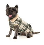 FuzzYard Lumberjack 25 Jacket - Money Green / Cream