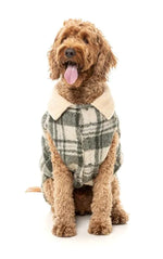 FuzzYard Lumberjack 25 Jacket - Money Green / Cream
