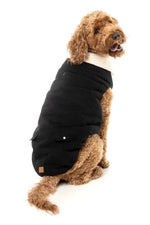 Frontier Jacket - Black