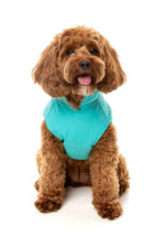 Breaker Raincoat - Teal