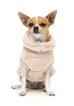 Turtle Teddy 25 Sweater - Beige