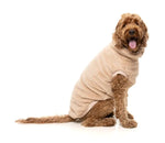 Turtle Teddy 25 Sweater - Desert Tan