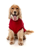 Allday 25 Sweater - Red