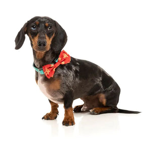 FuzzYard Christmas Bowtie - Naughty Ginger - L - Christmas