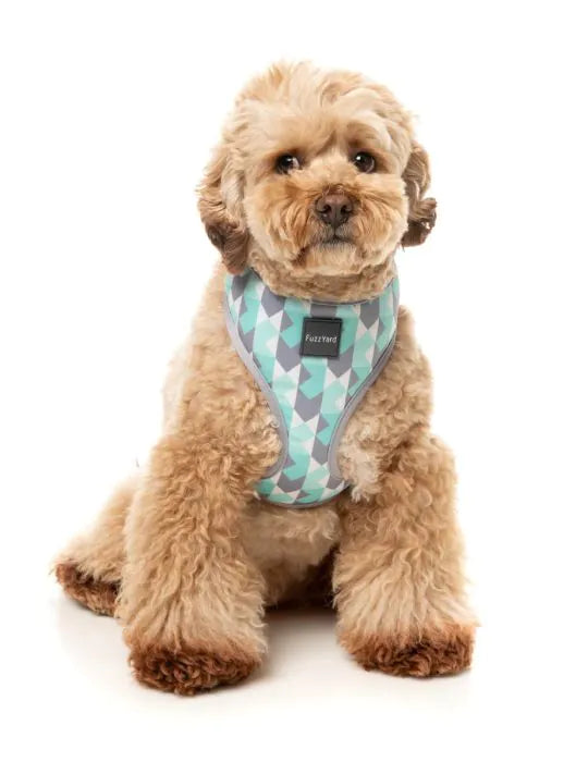 Mint Fizz - Dog Harness
