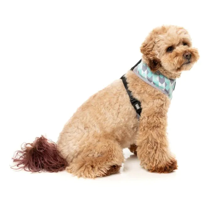 Mint Fizz - Dog Harness