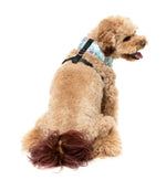 Mint Fizz - Dog Harness