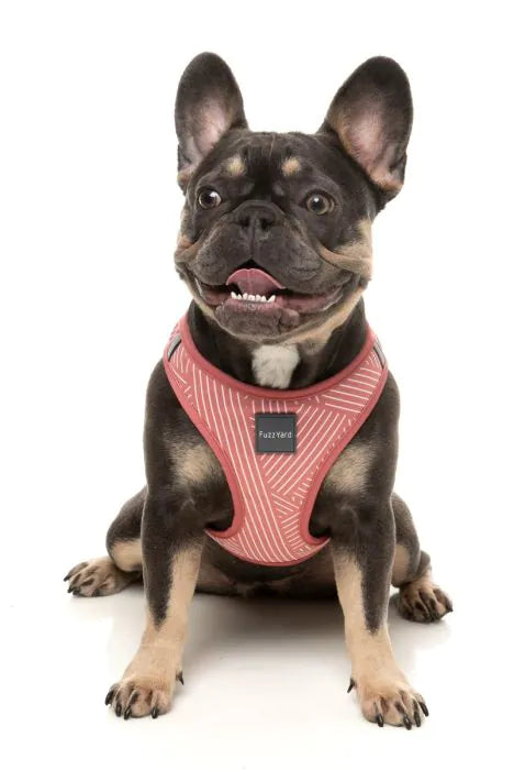 Thornbury - Brick Red- Dog Step In Harness