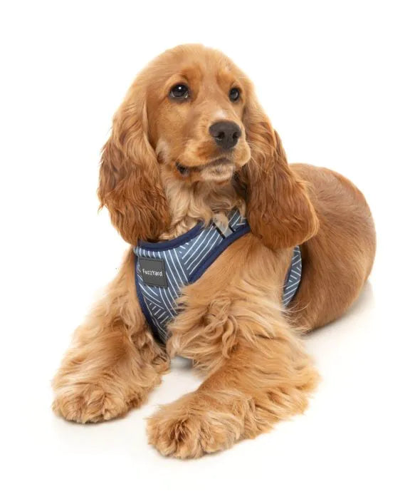 Thornbury - Aegean Blue - Dog Step In Harness