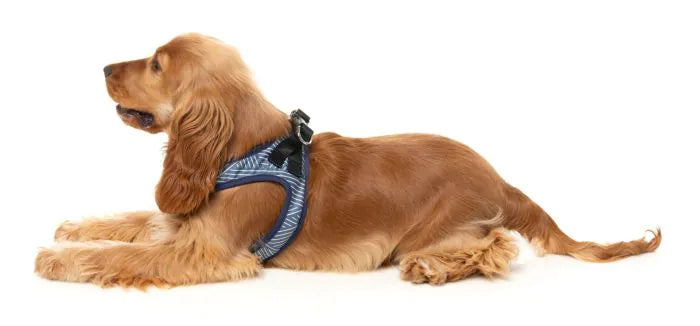 Thornbury - Aegean Blue - Dog Step In Harness