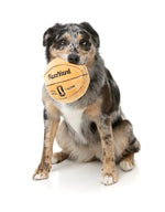 Dog Toy - Basketball