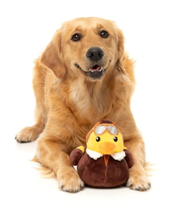 What the Duck - Amelia Quackhart - Dog Toy