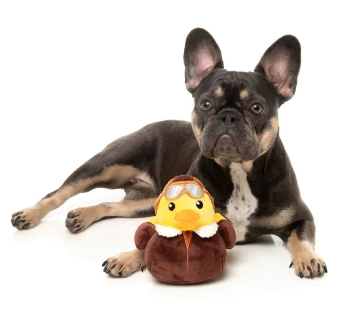 What the Duck - Amelia Quackhart - Dog Toy