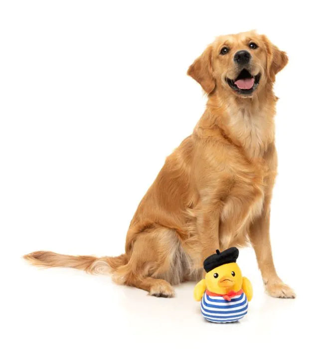 What the Duck - Timotheé Chalaquack - Dog Toy
