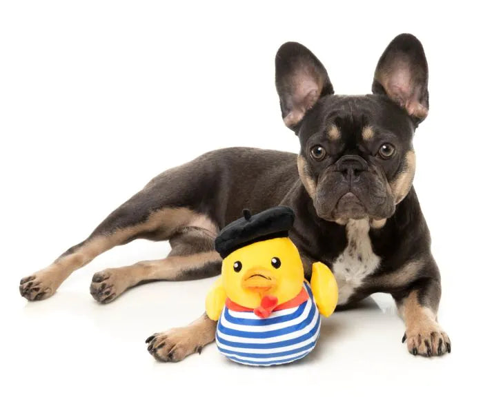 What the Duck - Timotheé Chalaquack - Dog Toy