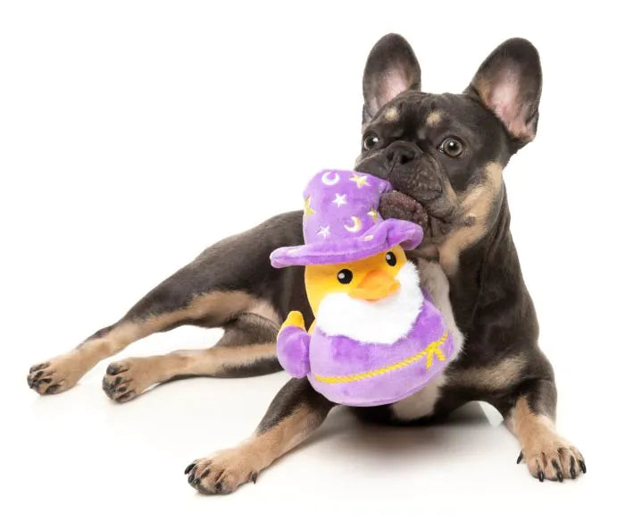 What the Duck - Sirius Quack - Dog Toy